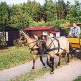 Karczma бөлмелер, тұру, демалыс, ойын-сауық, демалыс, бассейн, теннис корты - Польша